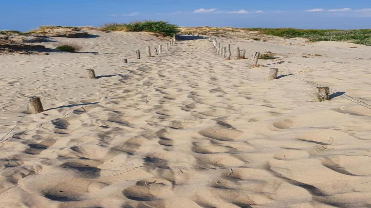 AreaSummer20KM AreaSummer20KM